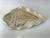Conch Shell Dish 17130